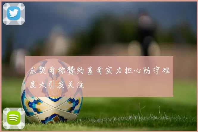 东契奇称赞约基奇实力担心防守难度大引发关注